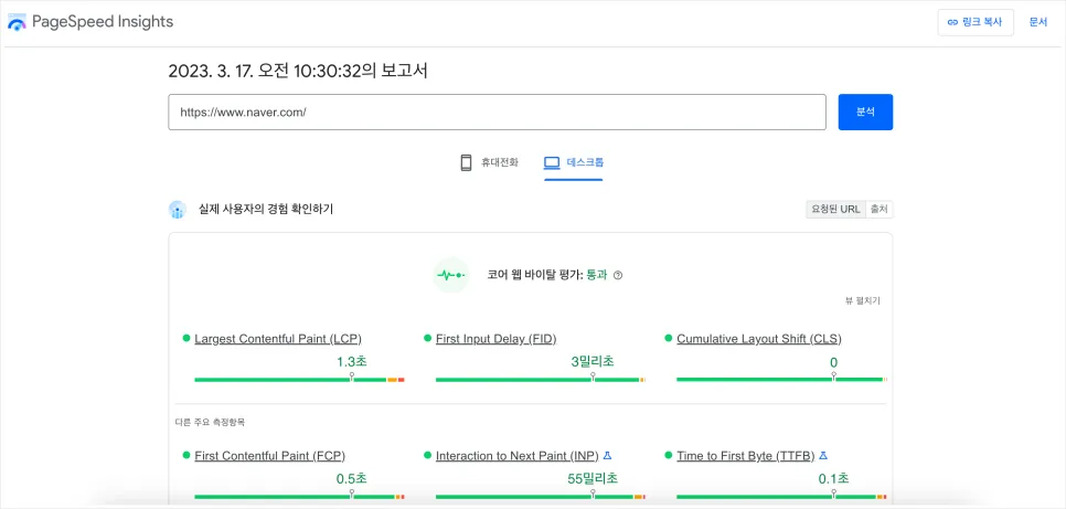 Google PageSpeed Insights 홈페이지 속도 측정