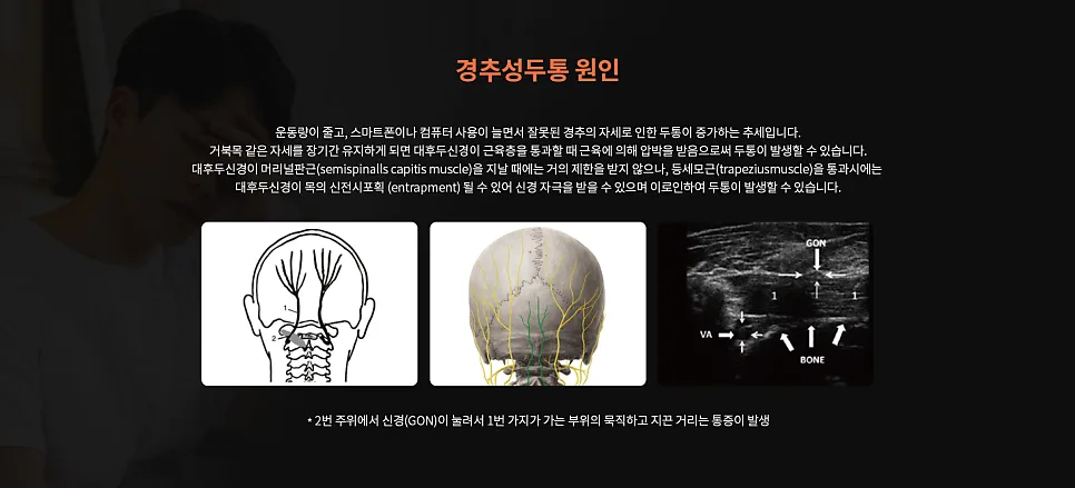 병원, 의원 홈페이지 사이트 제작 전문 - 잡오브브라더스